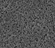 1648789499611814XnAb.png 图片4.png