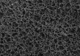 1649864790216536Ue2X.png 图片6.png