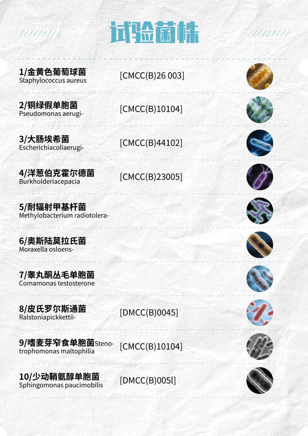 17685473324728256aKp.png 55.png