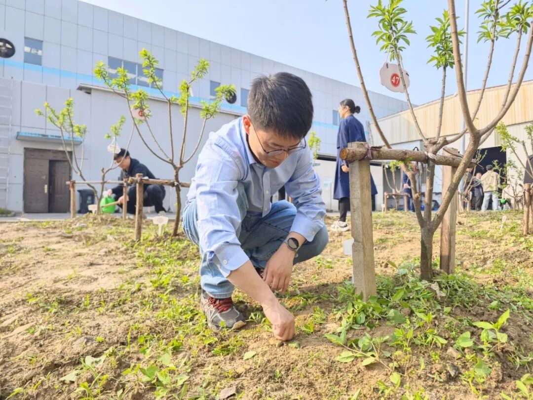 1768809247699635EX4Z.jpg 5.jpg